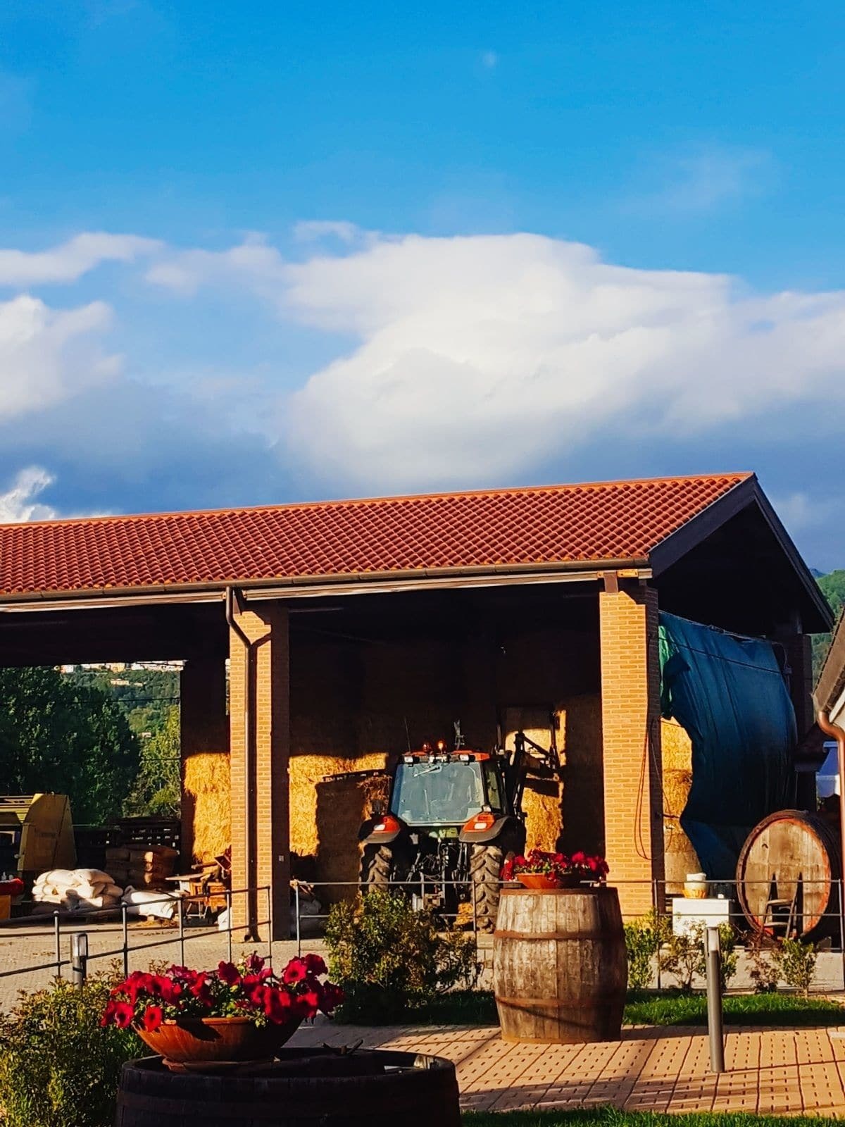 Agriturismo Bini Villa Sarzana Esterno foto